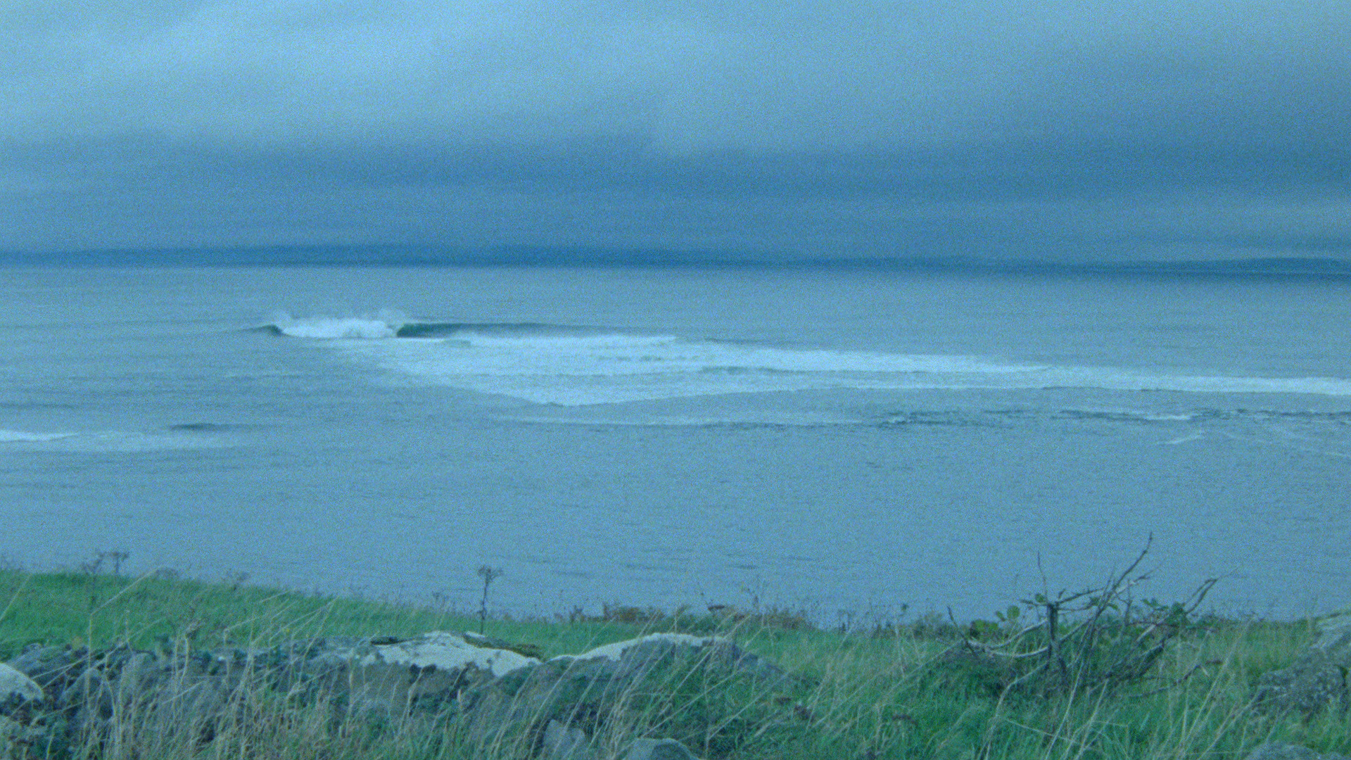 Hope Springs Eternal — Wasted Talent Magazine